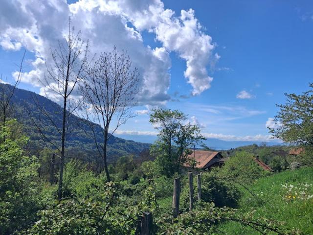 Terrain vente à Thonon-les-Bains, Féternes