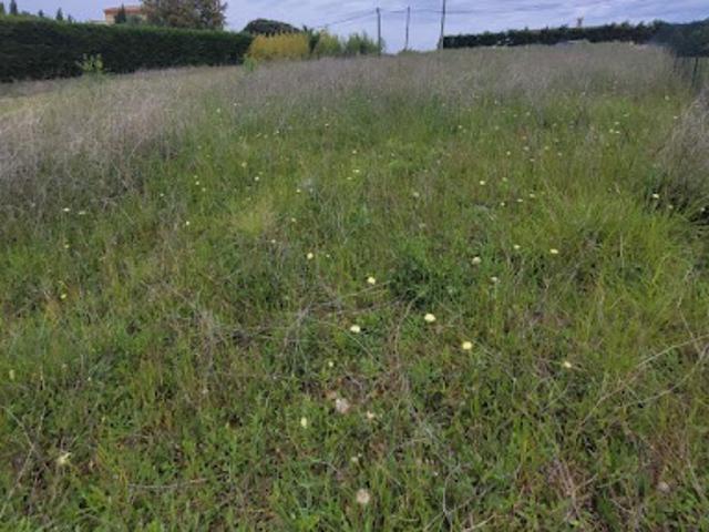 Terrain vente à Toulouse, Lacroix-falgarde