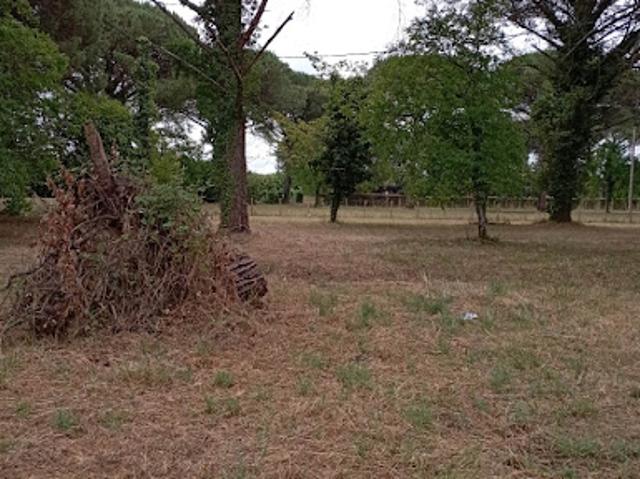 Terrain vente à Saint-maixant, Gironde