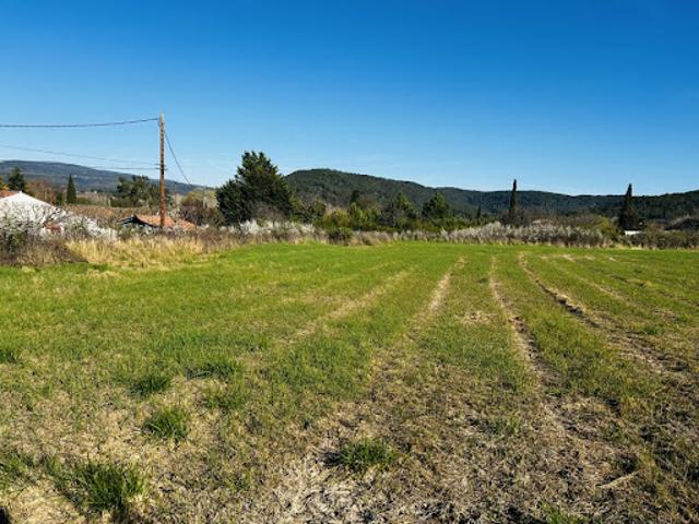 Terrain vente à Arrondissement de Draguignan, Salernes
