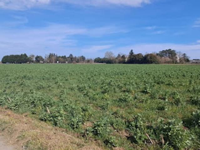 Terrain vente à Tarbes, Bordères-sur-l'echez