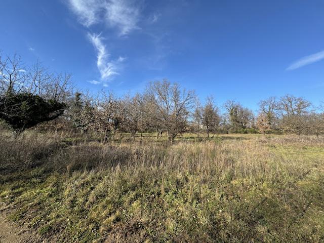 Terrain vente à Tournon-sur-Rhône, Roiffieux