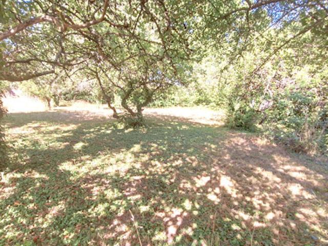 Terrain vente à Louhans-Châteaurenaud, Saint-germain-du-bois