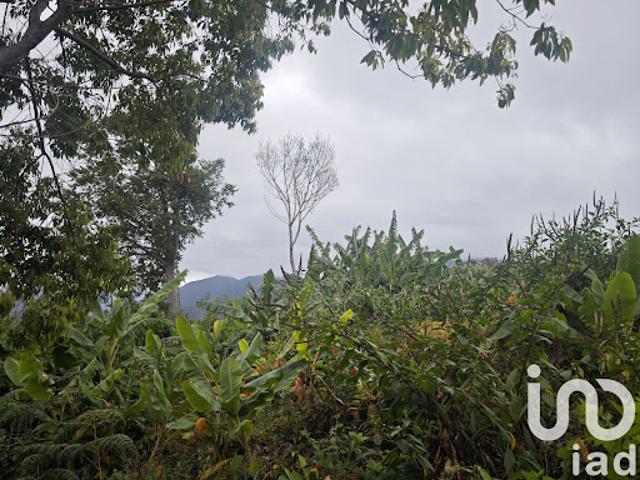 Terrain vente à La Réunion