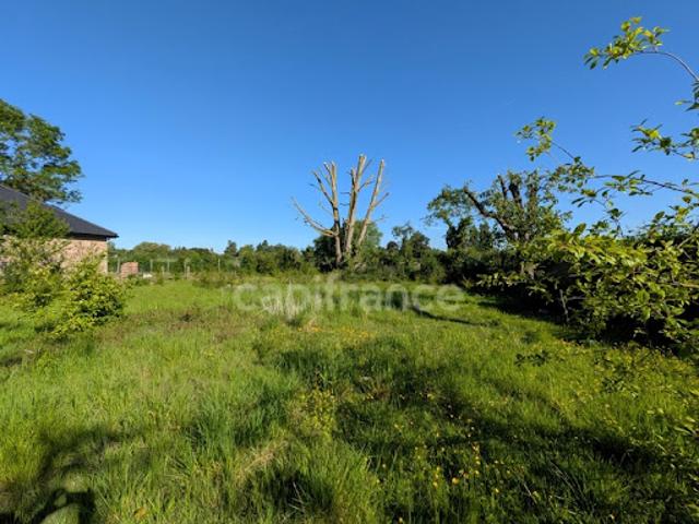 Terrain vente à Lille, Neuville-en-ferrain