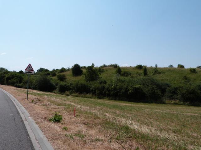 Terrain vente à Sarreguemines, Hambach