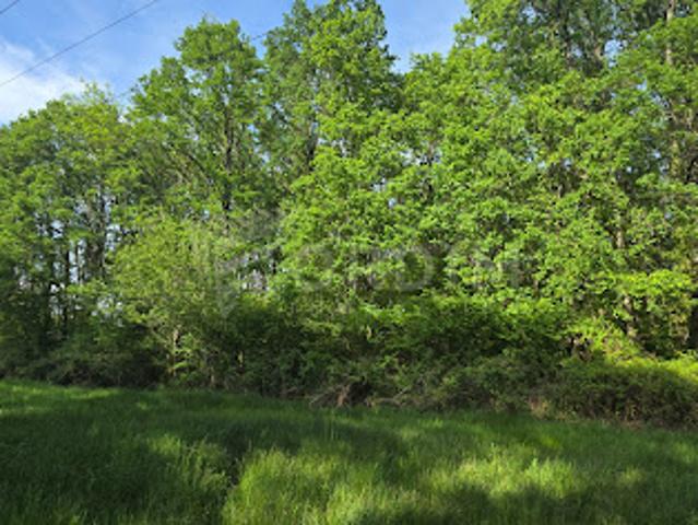 Terrain vente à Cosne-Cours-sur-Loire, La Celle-sur-loire