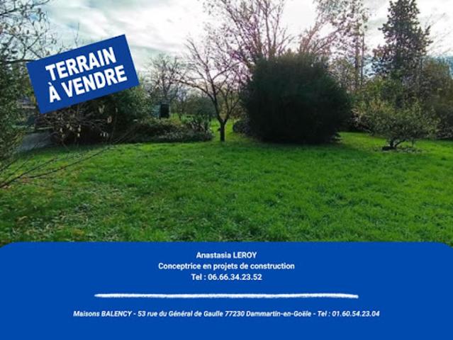 Terrain vente à Dammartin-en-Goële, Seine-et-Marne