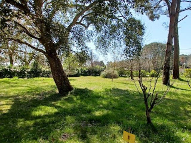 Terrain vente à Dax, Azur