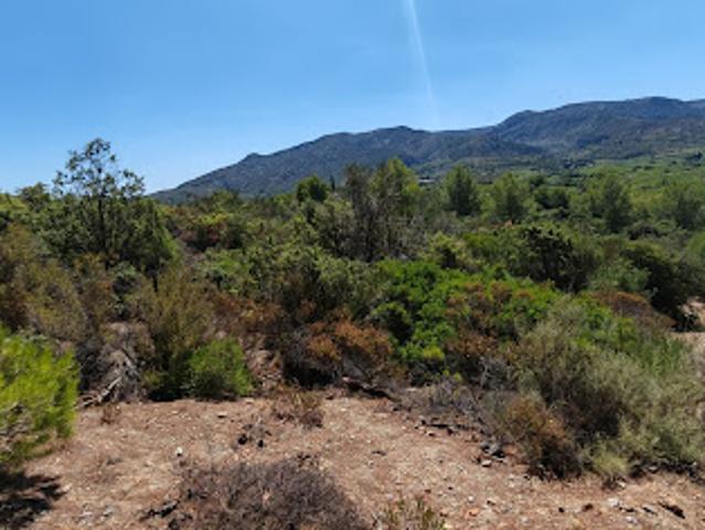 Terrain vente à Narbonne, Embres-et-castelmaure