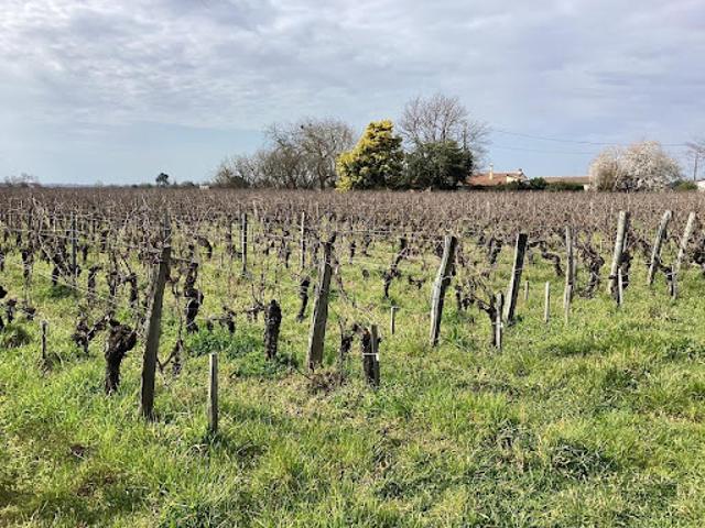 Terrain vente à Libourne, Saint-sulpice-de-faleyrens