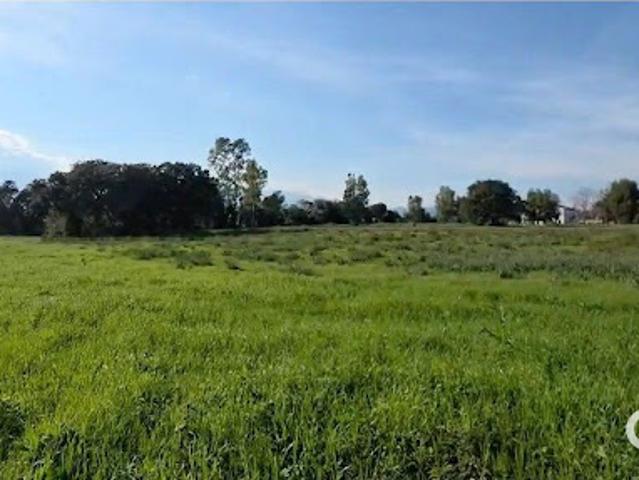 Terrain vente à Corte, Prunelli-di-fiumorbo