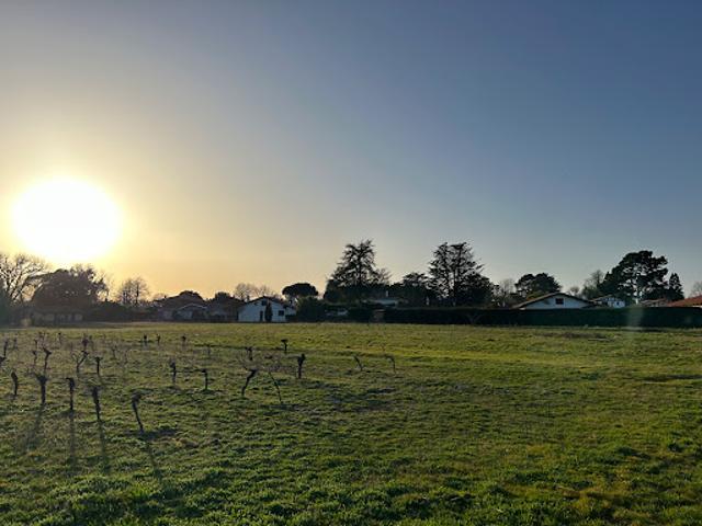 Terrain vente à Dax, Seignosse