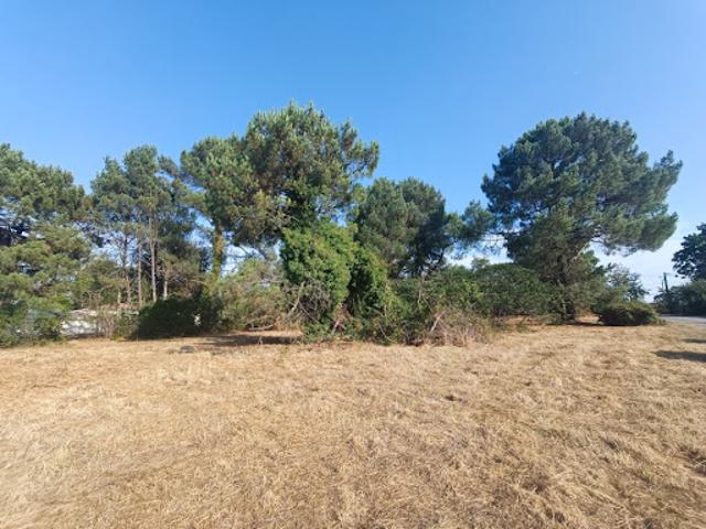 Terrain vente à Bordeaux, Martillac