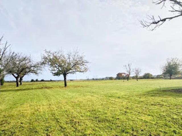 Terrain vente à Buxerolles, Vienne