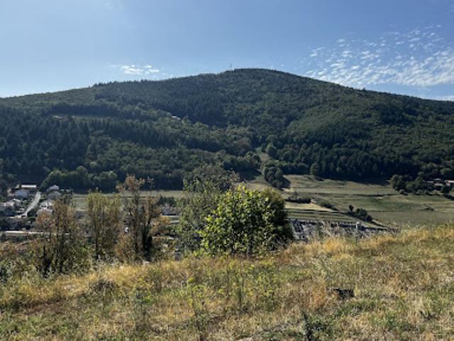 Terrain vente à Vignes de Fréchuret, Satillieu
