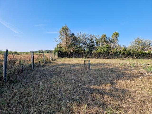 Terrain vente à France métropolitaine, Bois
