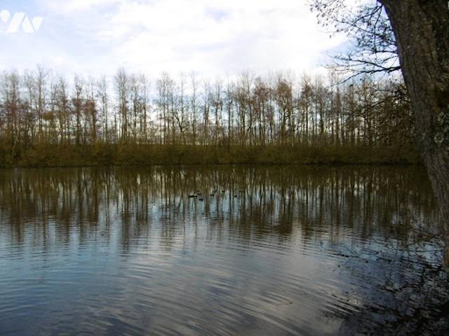 Terrain vente à Saint-Quentin, Neuville-saint-amand