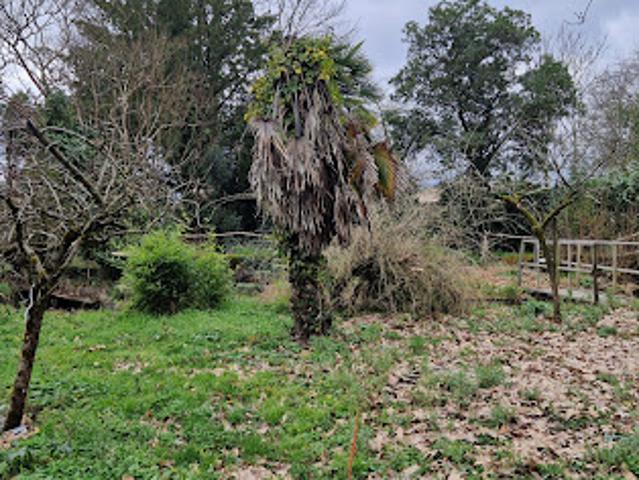 Terrain vente à France métropolitaine, Margaux
