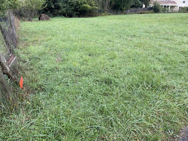 Terrain vente à France métropolitaine, Cognac