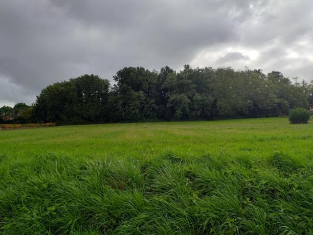 Terrain vente à Bordeaux, Sadirac