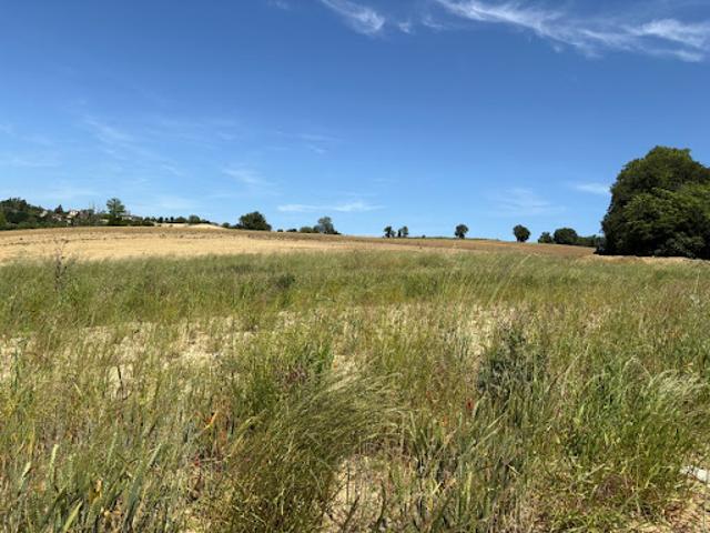Terrain vente à Toulouse, Verfeil
