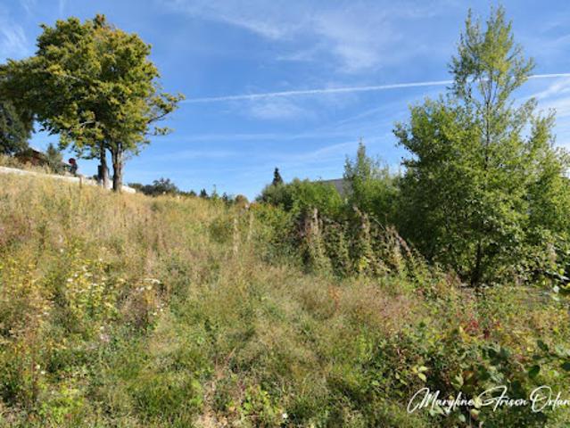 Terrain vente à Les Mermets, Les Déserts