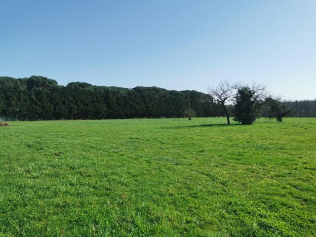 Terrain vente à Langon, Coimères