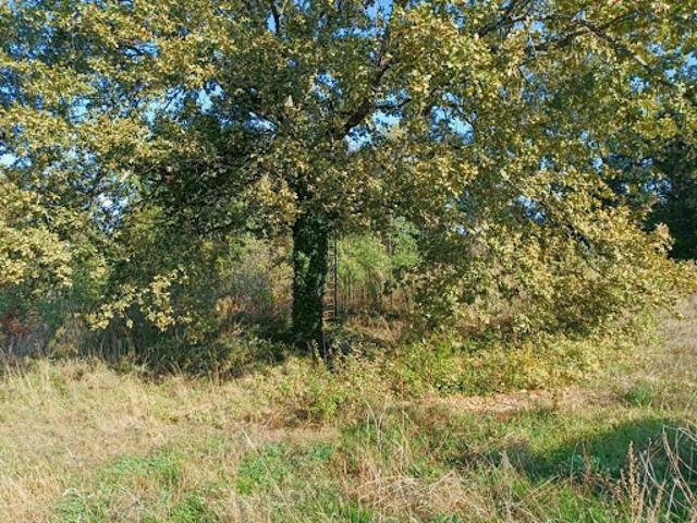 Terrain vente à Périgueux, Mussidan