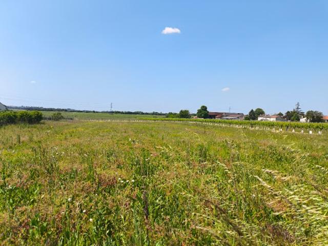 Terrain vente à Jonzac, Sainte-lheurine