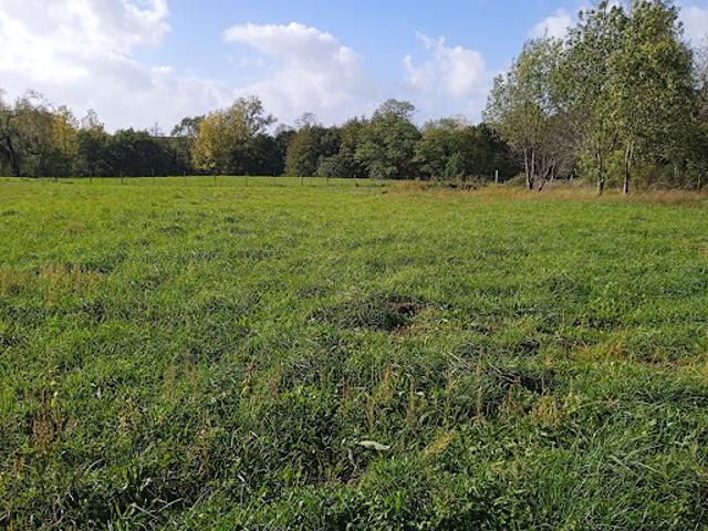Terrain vente à Blaye, Saint-ciers-sur-gironde