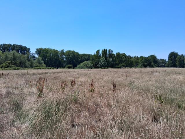 Terrain vente à Bergerac, Creysse