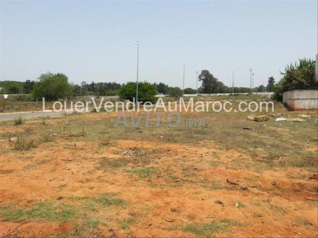 Propriété vente à Aïn Attig, Rabat-Salé-Zemmour-Zaër