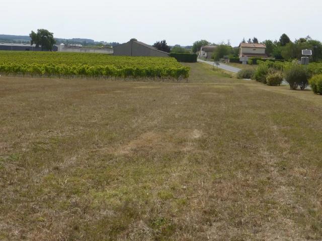 Terrain vente à Jonzac, Brie-sous-archiac
