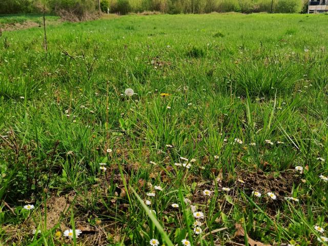 Terrain vente à Soissons, Vuillery