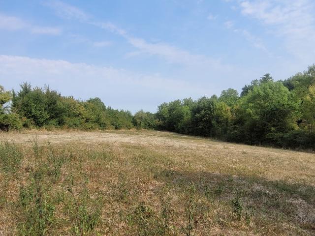 Appartement vente à Les Mûriers, Saint-Maur-des-Fossés