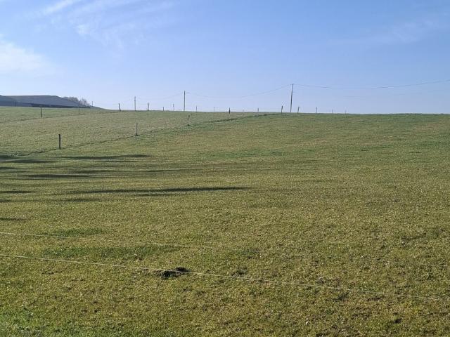 Terrain vente à Forbach-Boulay-Moselle, Barst