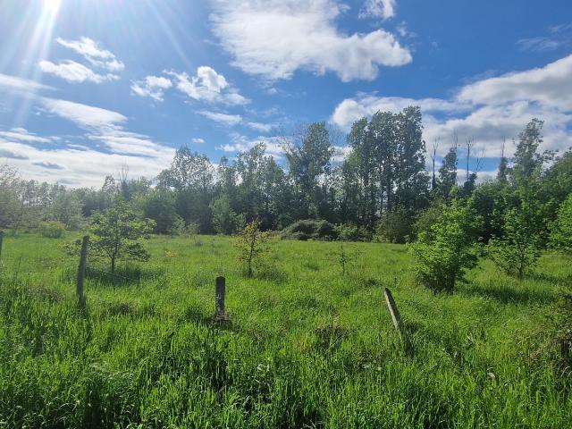 Terrain vente à Périgueux, Saint-laurent-des-hommes