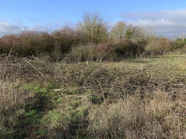 Terrain vente à Misy-sur-Yonne, Seine-et-Marne