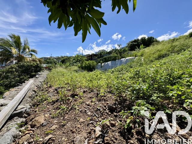 Terrain vente à La Réunion