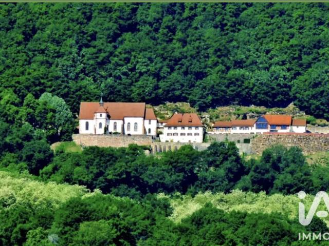 Terrain vente à Thann-Guebwiller, Pfaffenheim