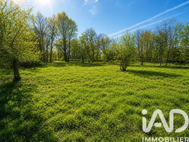 Terrain vente à Langon, Louchats
