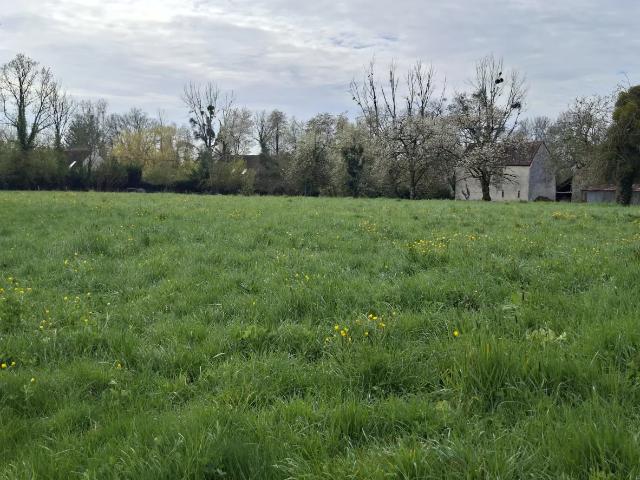 Terrain vente à Château-Thierry, Hauts-de-France
