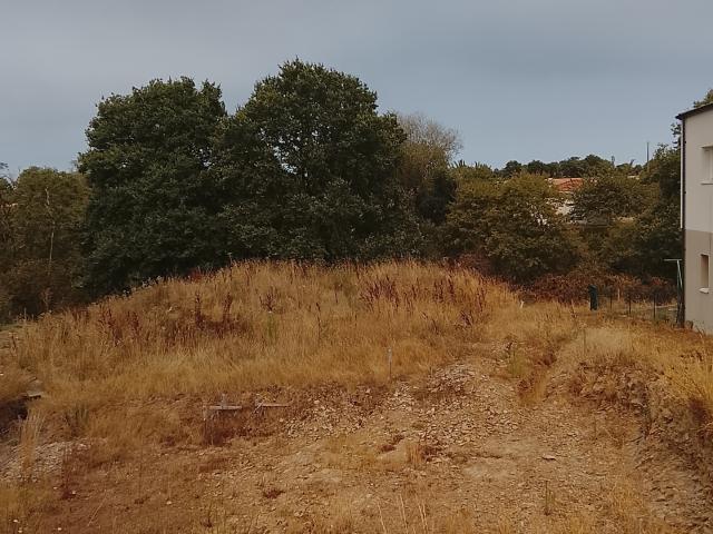 Terrain vente à La Roche-sur-Yon, Thorigny