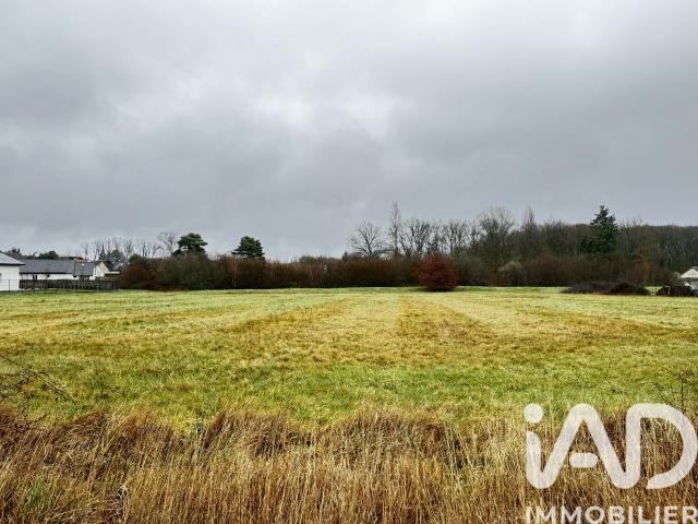 Terrain vente à Romorantin-Lanthenay, Romorantin-lanthenay