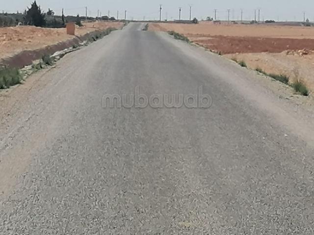 Terrain vente à Ben Slimane