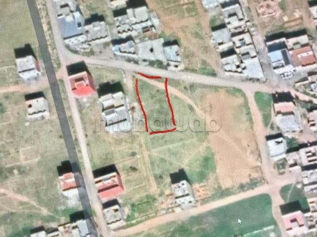 Terrain vente à Oulad Yahia