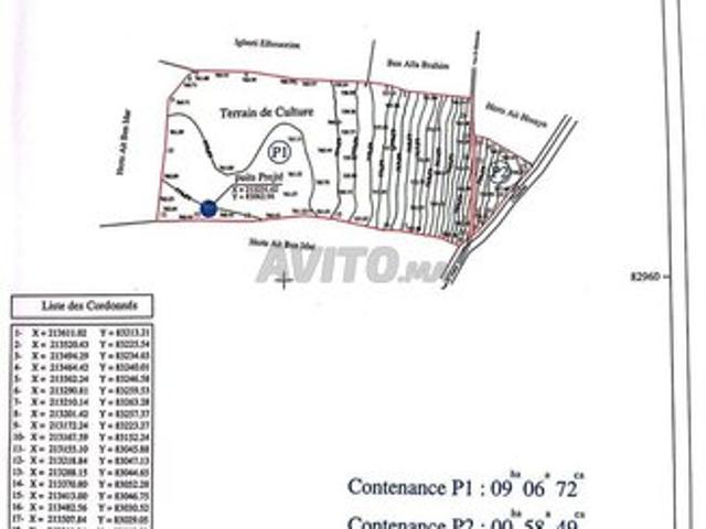 Propriété vente à Al Haouz, L'Oriental