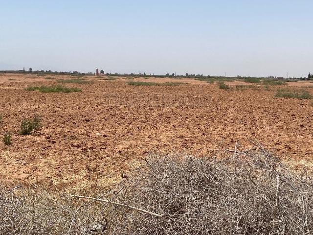 Terrain vente à Sidi Abdallah