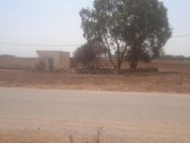 Terrain vente à Sidi Hajjaj Oued Hassar, Gharb-Chrarda-Beni Hssen